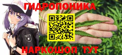 гидра Кунгур