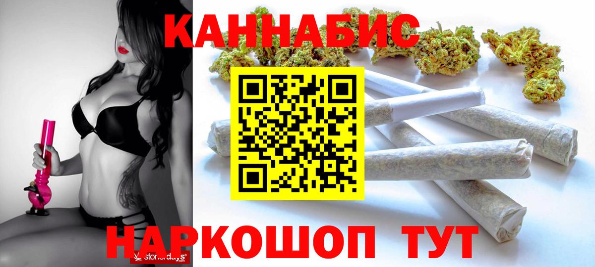 Каннабис планчик Ухта